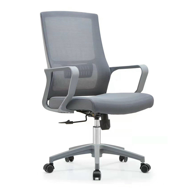 Ghế công thái học CTH818B